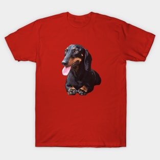 Dachshund Black and Tan Beauty T-Shirt